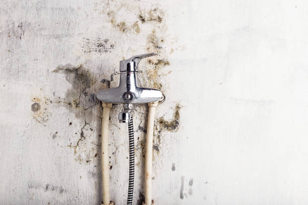  Center Point, NM Mold Removal Pros