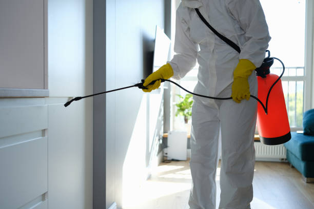 Best Mold Remediation for Specific Building Types in Center Point, NM